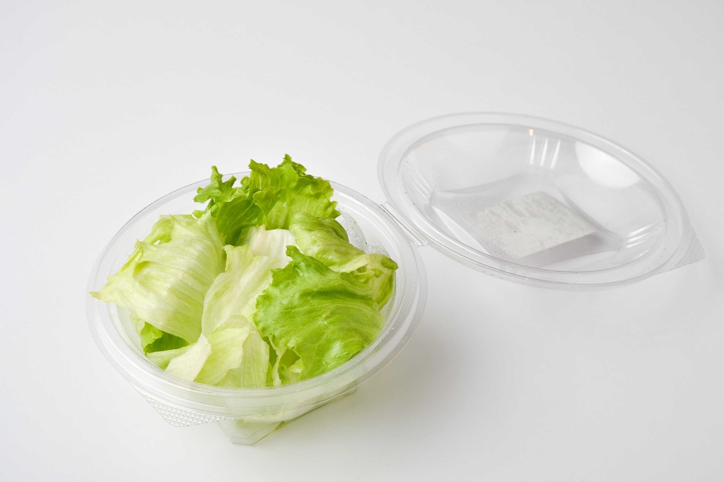 Lettuce خس